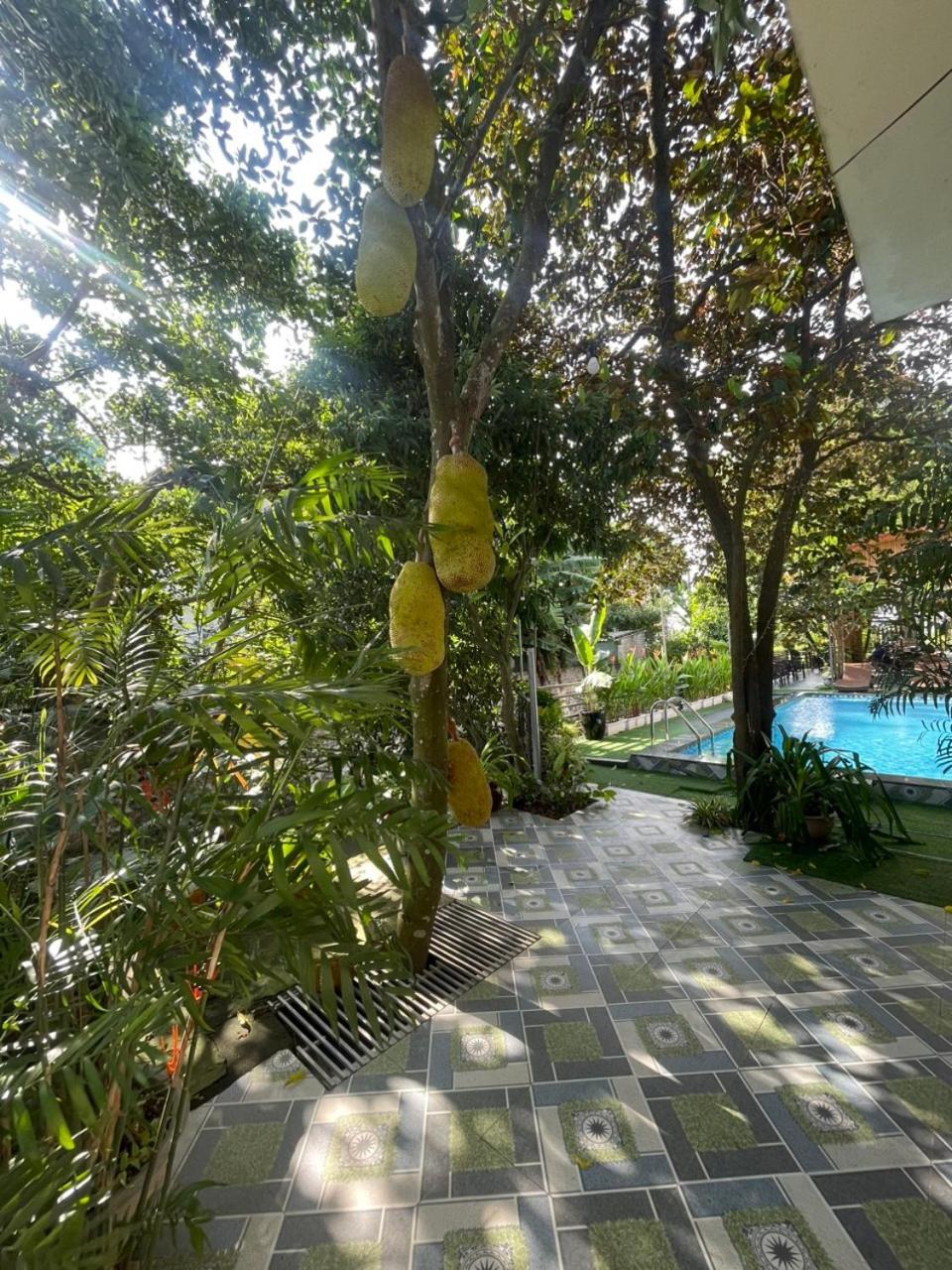 Tam Coc Relax Homestay Ninh Bình Exteriör bild