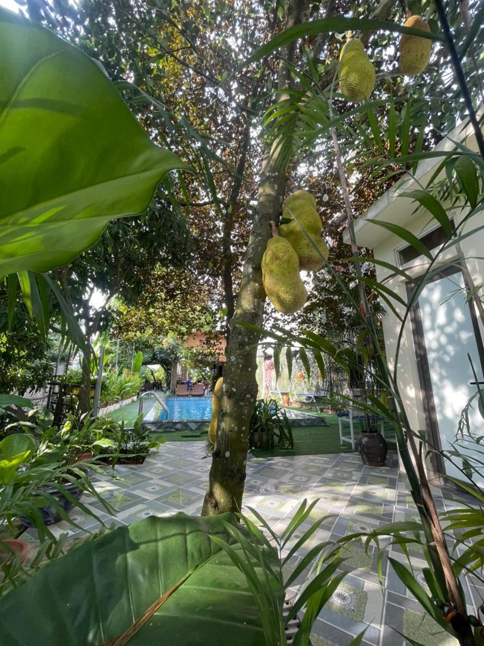 Tam Coc Relax Homestay Ninh Bình Exteriör bild